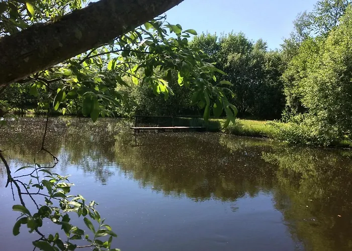 Bed and breakfast Billund - Assengaard Give