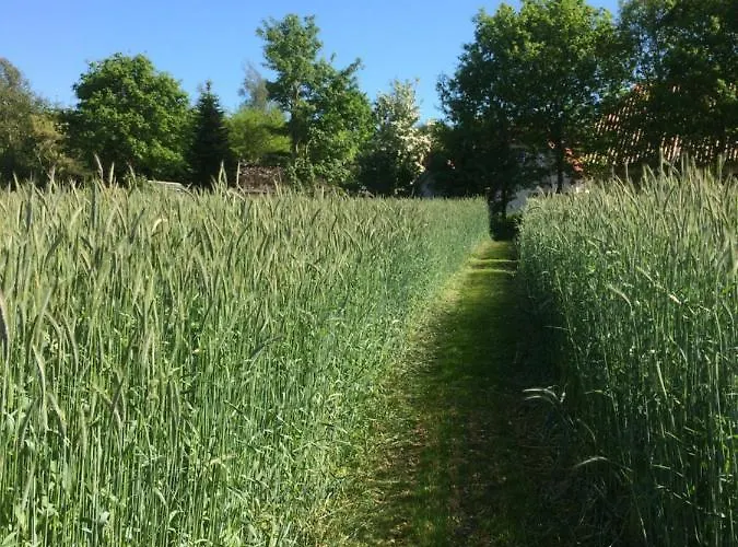 Billund - Assengaard 3* 吉弗
